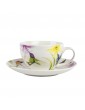 Cup and saucer Hummingbirds...