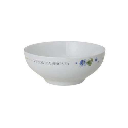 Bowl Veronica with a lovely floral design.